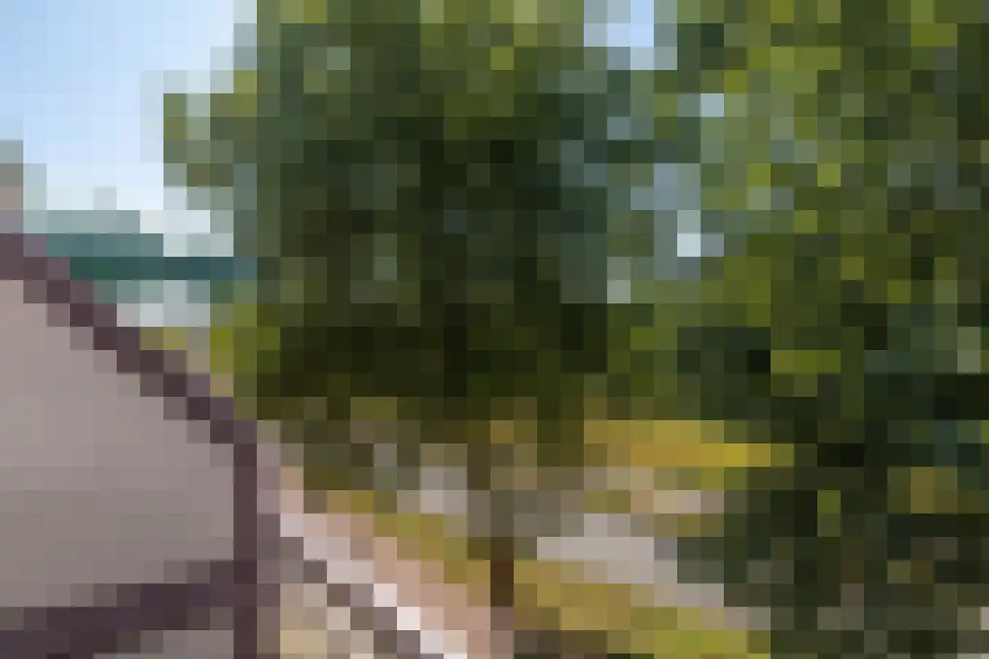 Suze Groenewegplantsoen 37 Amsterdam thumbnail 10