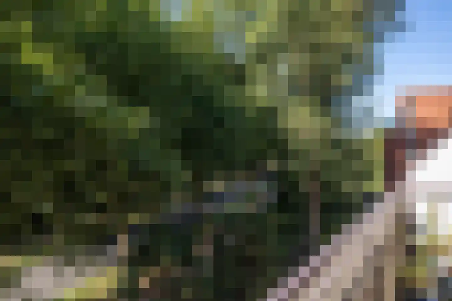 Suze Groenewegplantsoen 37 Amsterdam thumbnail 11