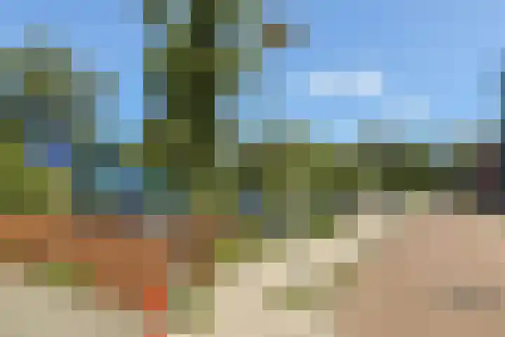 Suze Groenewegplantsoen 43 Amsterdam thumbnail 24
