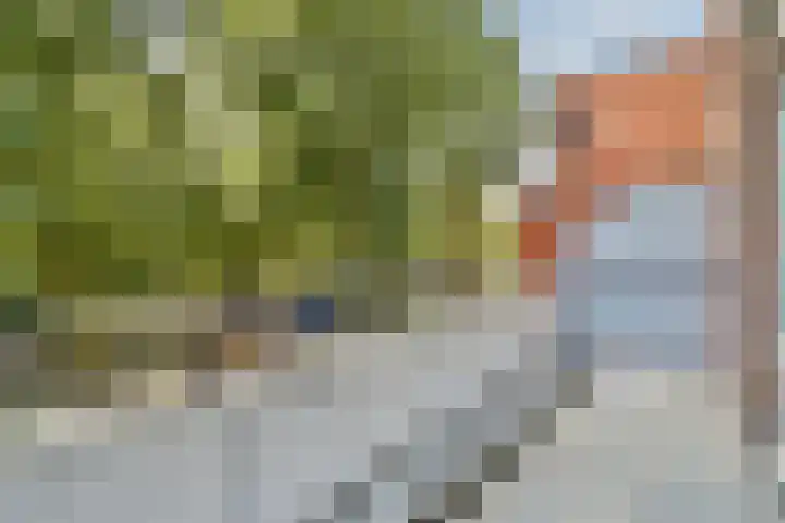 Suze Groenewegplantsoen 43 Amsterdam thumbnail 4