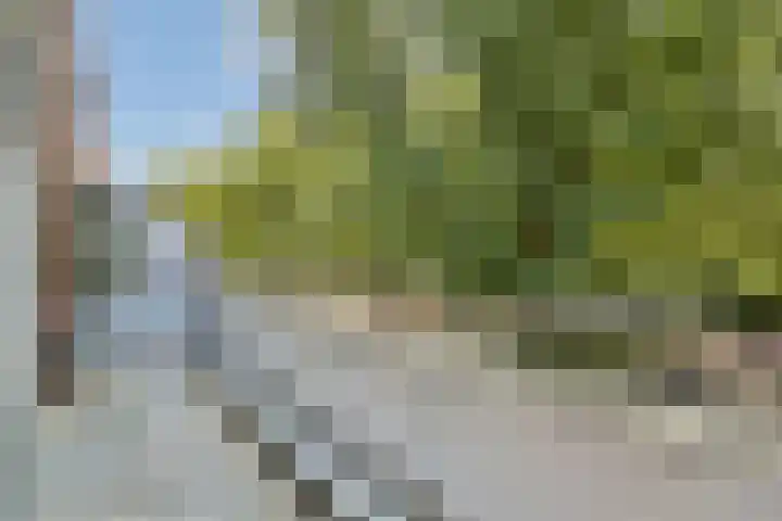 Suze Groenewegplantsoen 43 Amsterdam thumbnail 5