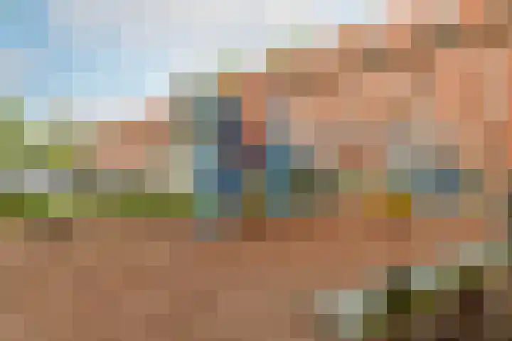 Suze Groenewegplantsoen 71 Amsterdam thumbnail 35