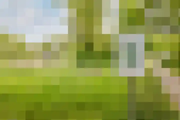Suze Groenewegplantsoen 71 Amsterdam thumbnail 37