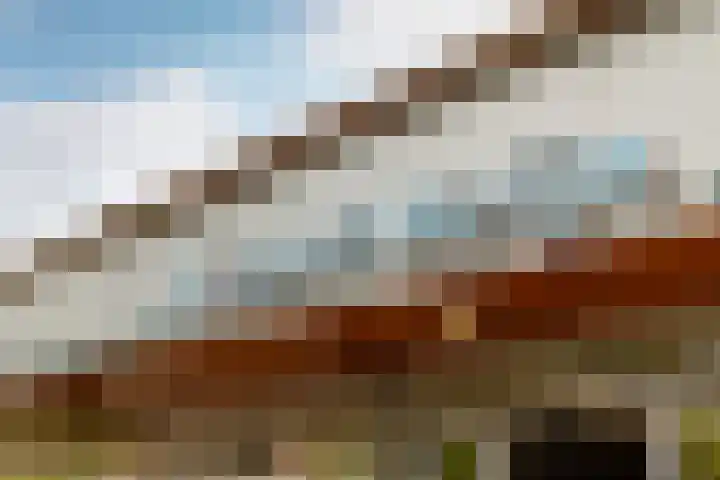 Suze Groenewegplantsoen 71 Amsterdam thumbnail 40