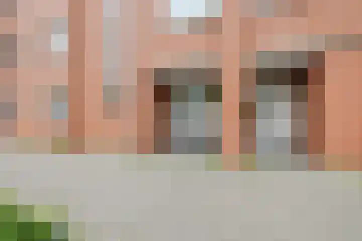 Suze Groenewegplantsoen 71 Amsterdam thumbnail 6