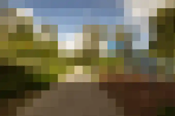 Suze Groenewegplantsoen 81 Amsterdam thumbnail 29