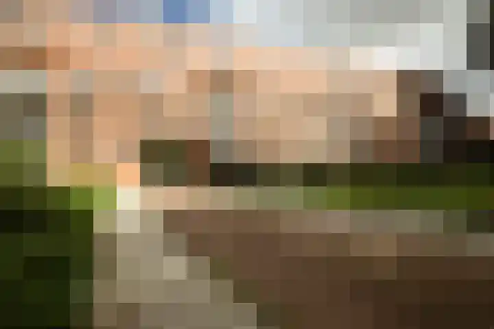 Suze Groenewegplantsoen 81 Amsterdam thumbnail 30