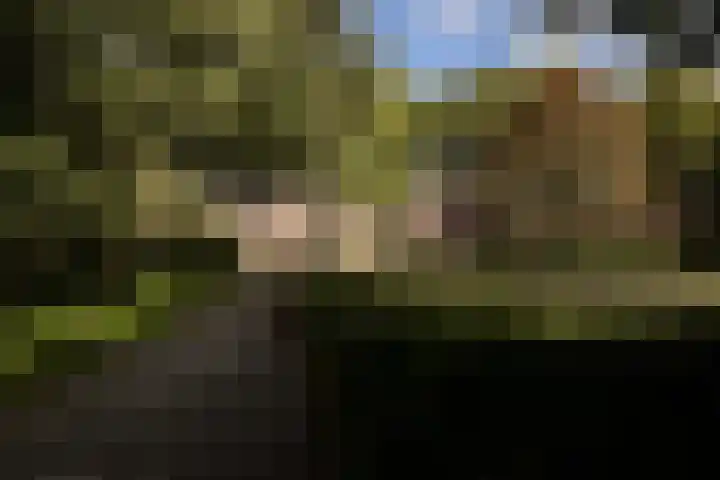 Suze Groenewegplantsoen 81 Amsterdam thumbnail 31