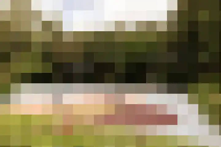 Suze Groenewegplantsoen 81 Amsterdam thumbnail 32