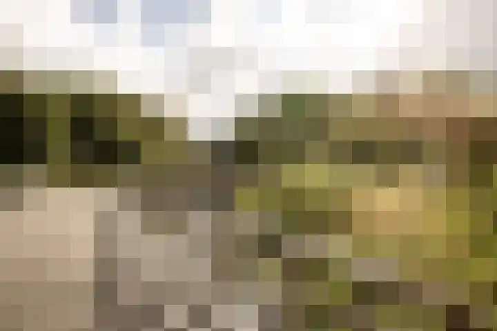 Suze Groenewegplantsoen 81 Amsterdam thumbnail 34