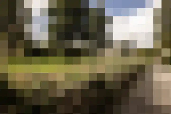 Suze Groenewegplantsoen 81 Amsterdam thumbnail 35