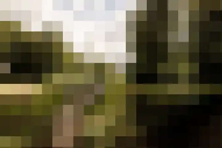 Suze Groenewegplantsoen 81 Amsterdam thumbnail 36
