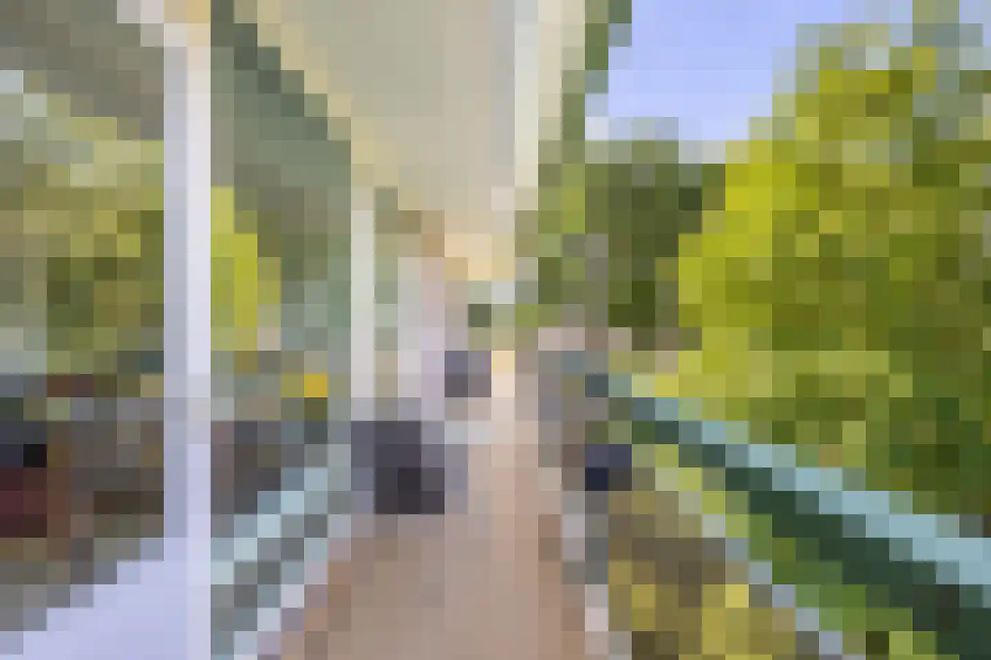Suze Groenewegstraat 119 Purmerend thumbnail 27