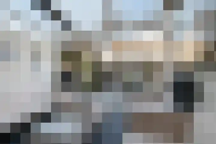 Suze Groenewegstraat 13 Culemborg thumbnail 20