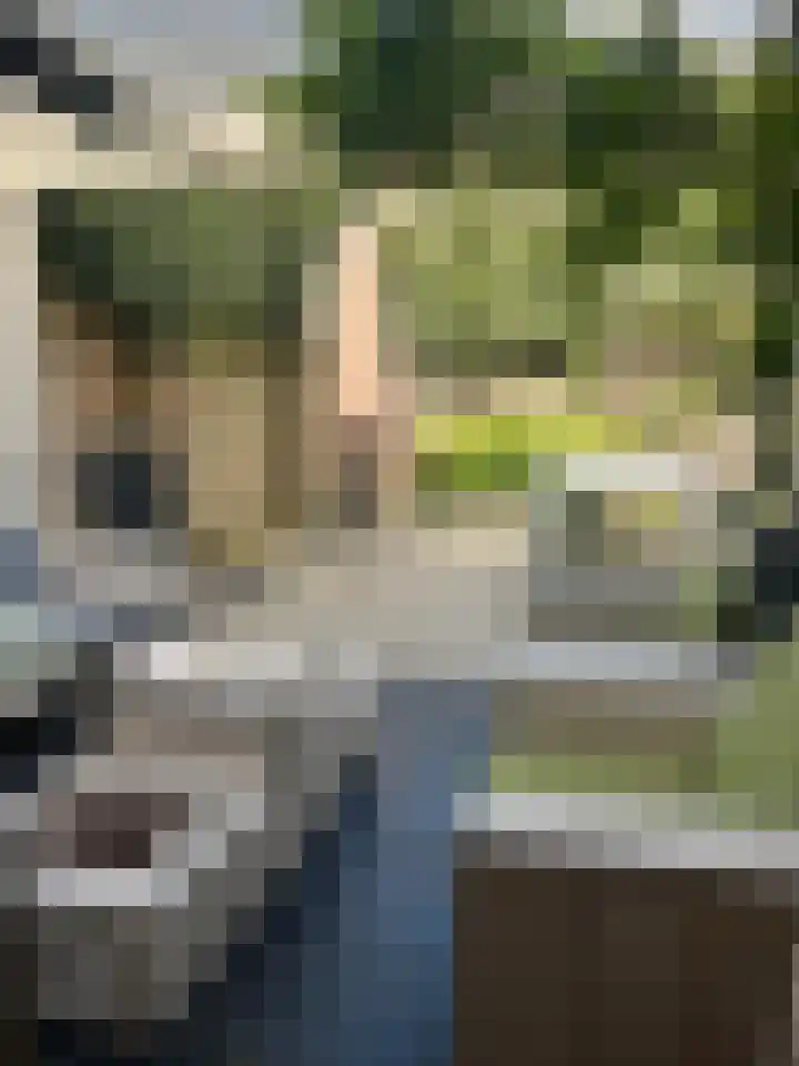Suze Groenewegstraat 13 Culemborg thumbnail 21