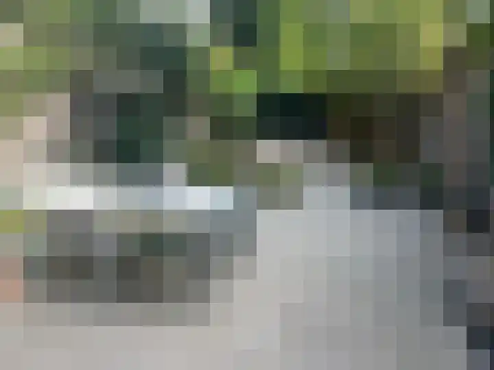 Suze Groenewegstraat 13 Culemborg thumbnail 25