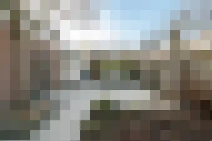 Suze Groenewegstraat 13 Culemborg thumbnail 28
