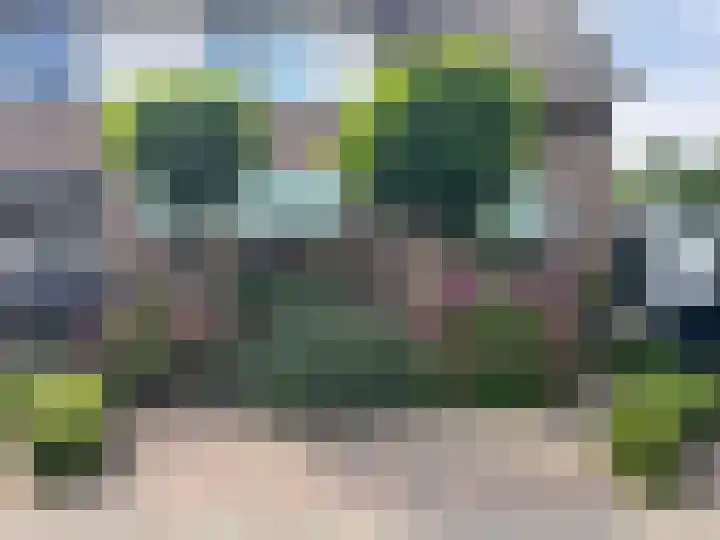 Suze Groenewegstraat 13 Culemborg thumbnail 52
