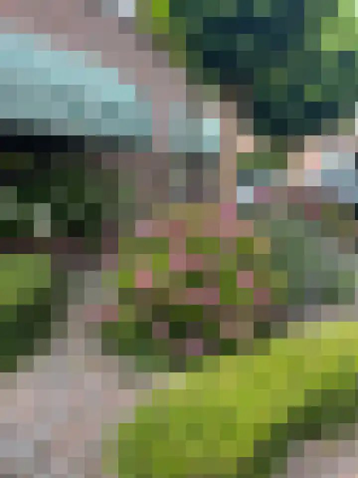 Suze Groenewegstraat 13 Culemborg thumbnail 53