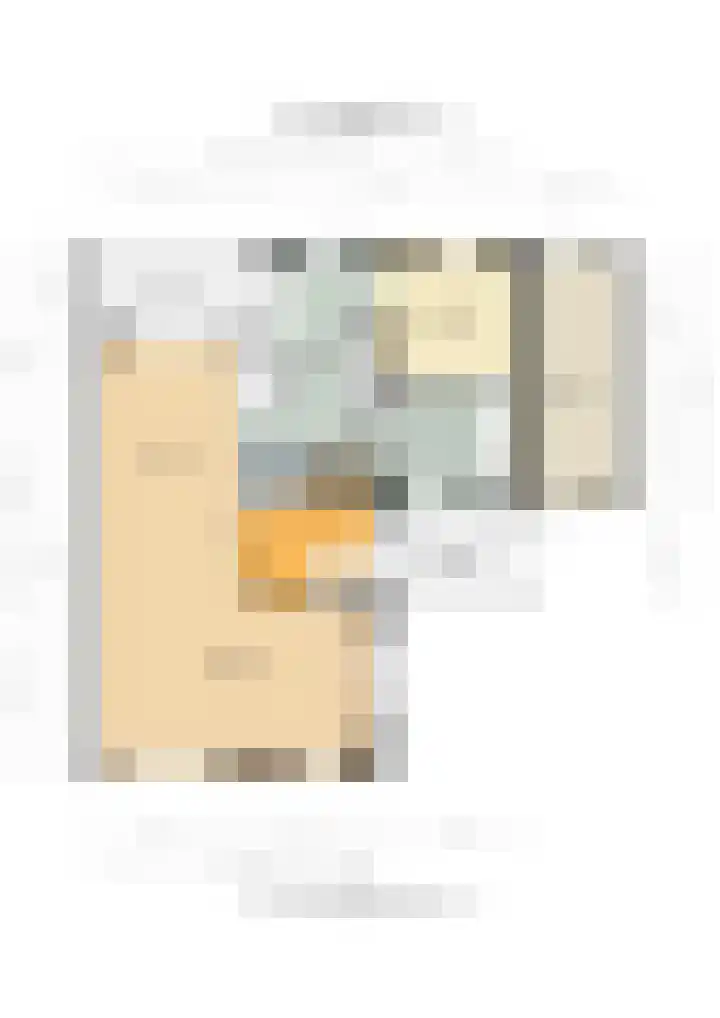 Suze Groenewegstraat 13 Culemborg thumbnail 54