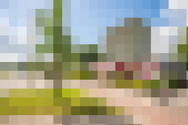 Suze Groenewegstraat 137 Purmerend thumbnail 33