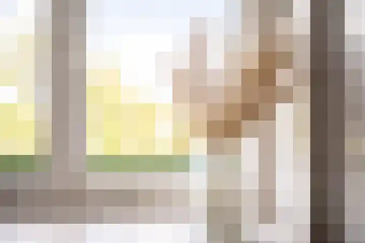 Suze Groenewegstraat 137 Purmerend thumbnail 44