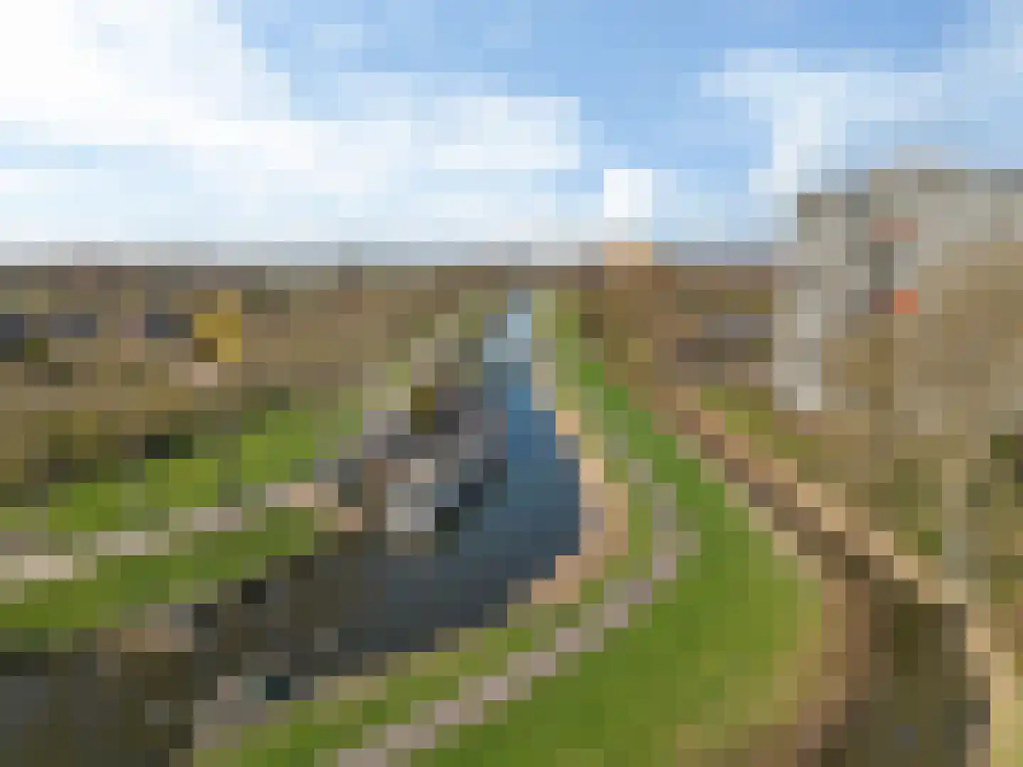 Suze Groenewegstraat 179 Purmerend thumbnail 16