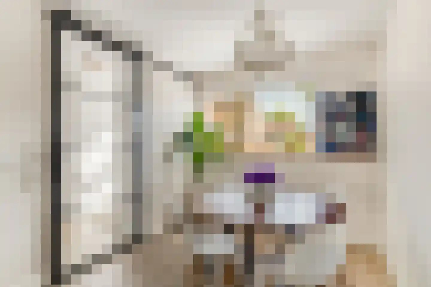 Suze Groenewegstraat 21 Alkmaar thumbnail 7