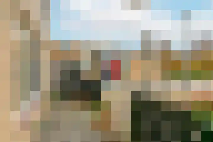 Suze Groenewegstraat 28 Tiel thumbnail 10