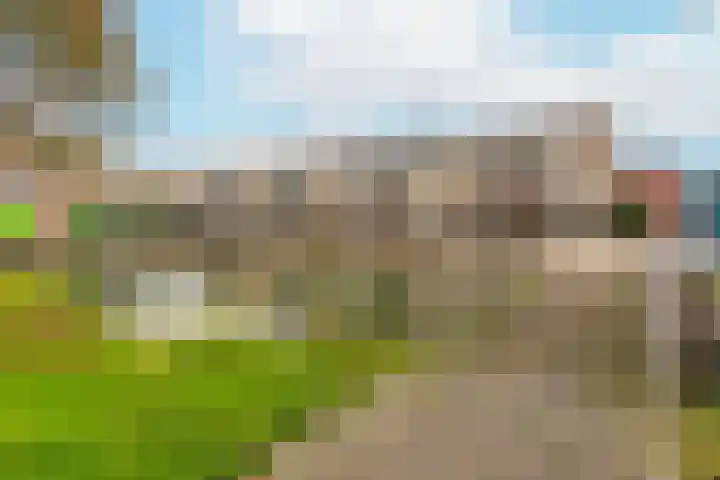 Suze Groenewegstraat 28 Tiel thumbnail 17