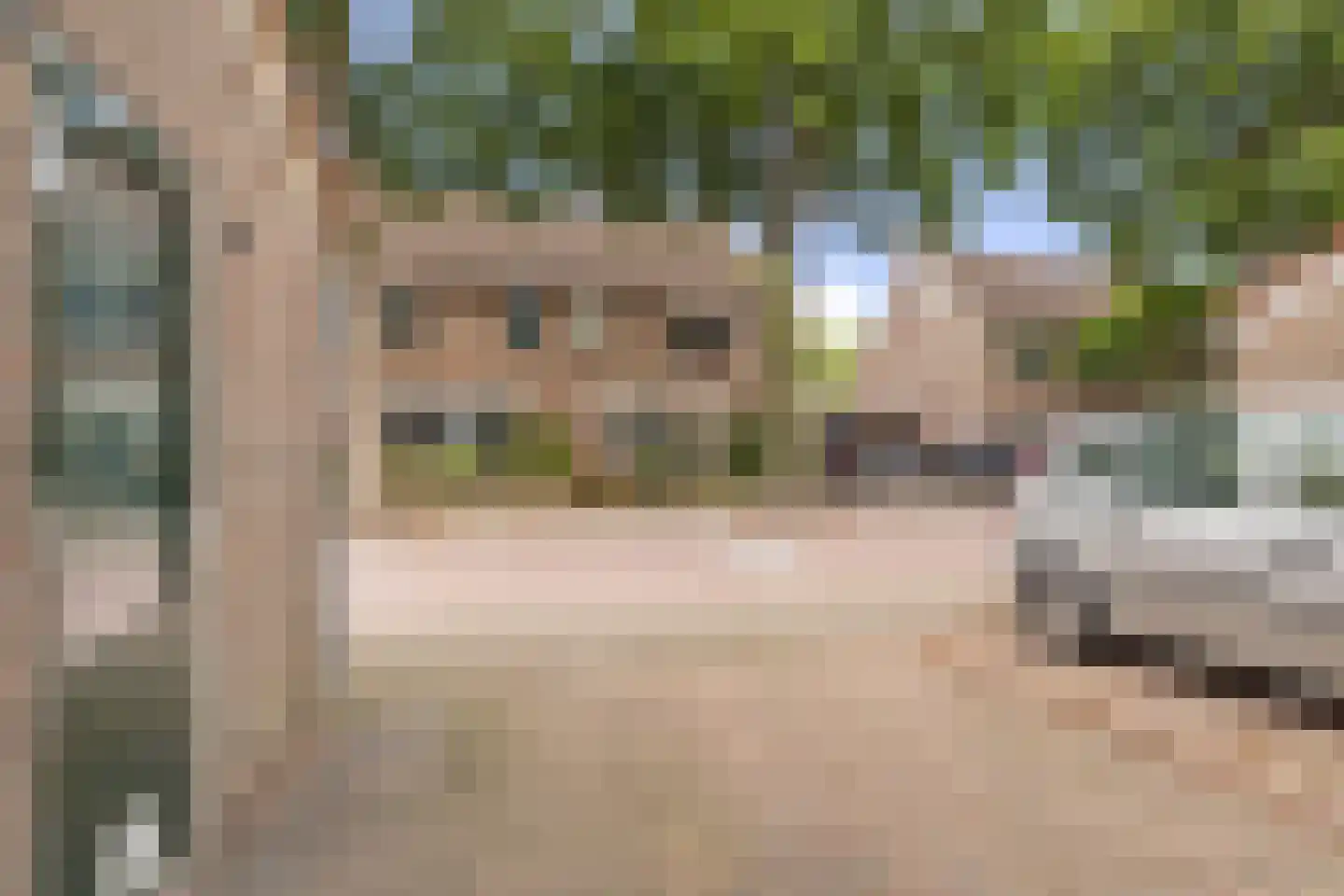 Suze Groenewegstraat 30 Alkmaar thumbnail 49