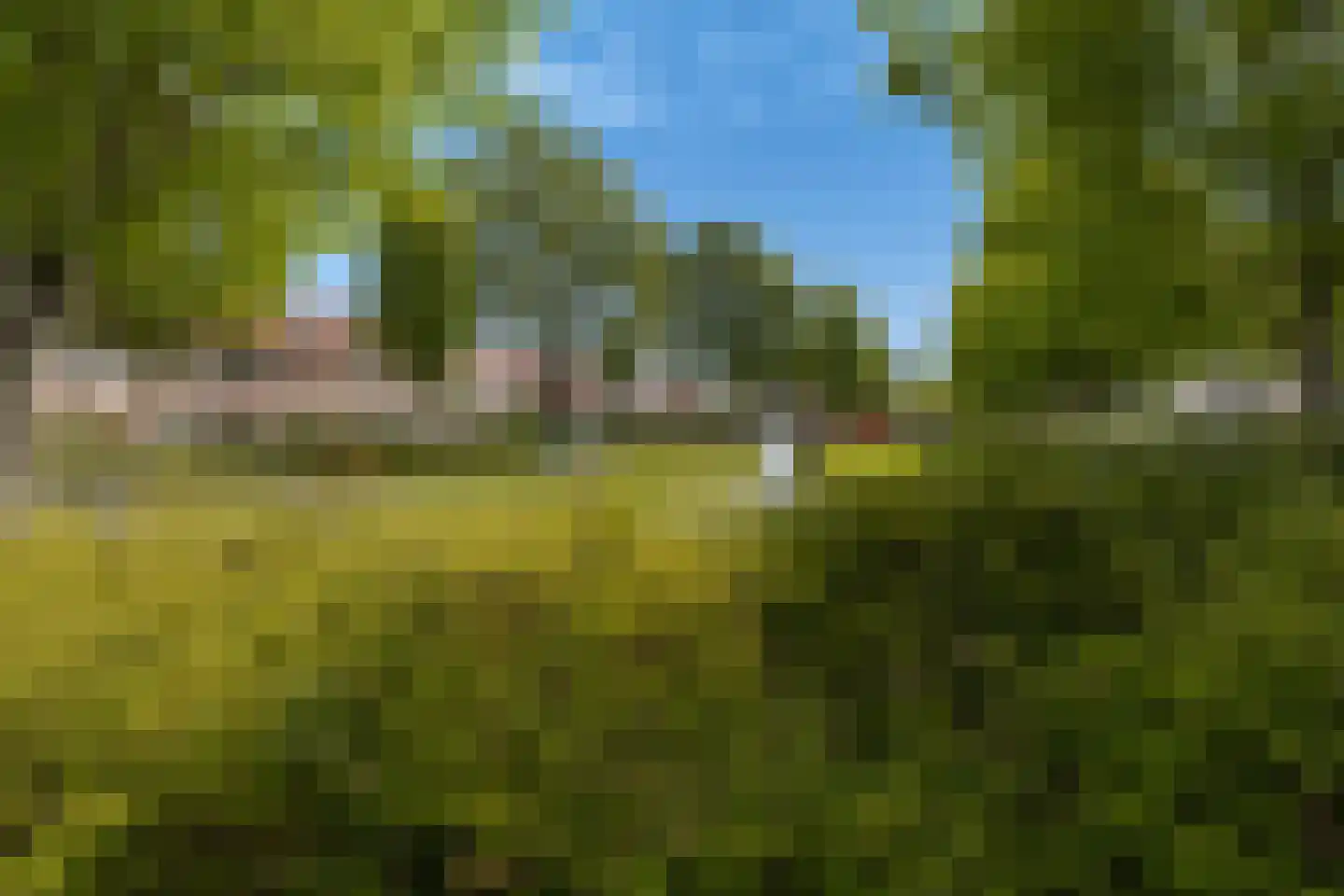 Suze Groenewegstraat 30 Alkmaar thumbnail 54