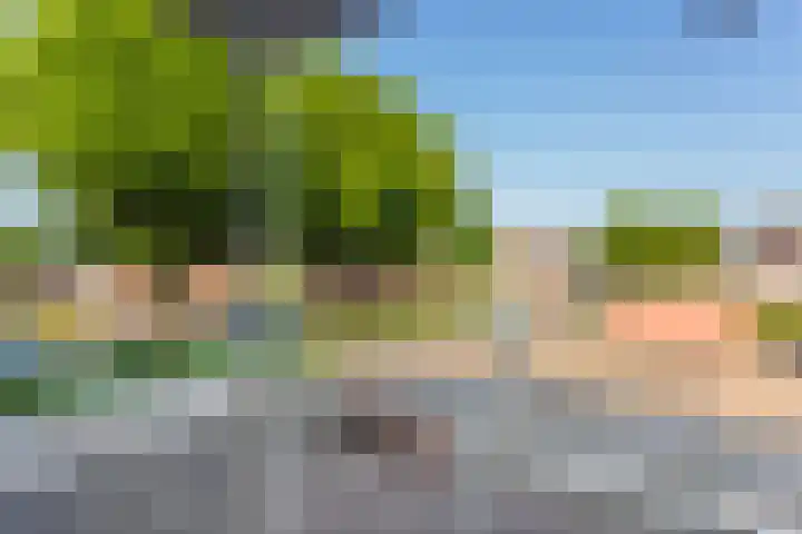 Suze Groenewegstraat 30 Tiel thumbnail 12