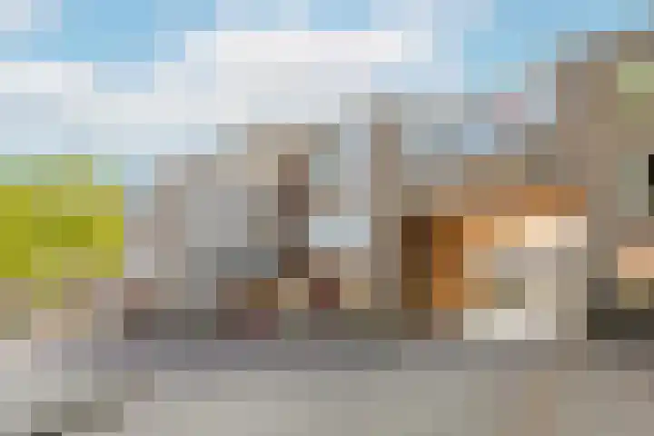 Suze Groenewegstraat 30 Tiel thumbnail 25