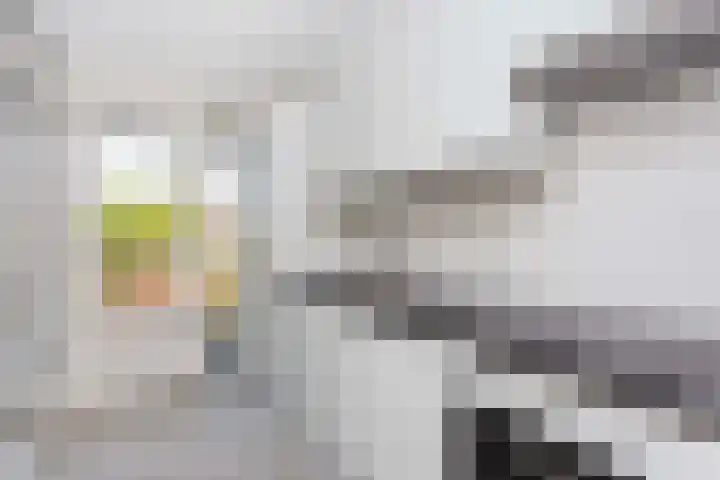 Suze Groenewegstraat 30 Tiel thumbnail 9