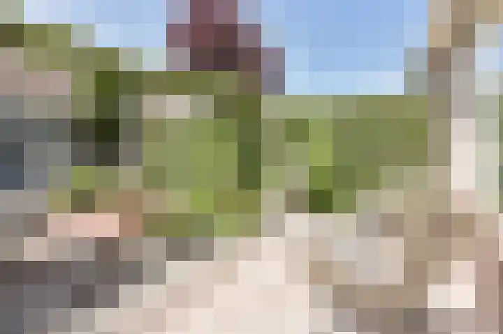Suze Groenewegstraat 33 Alphen aan den Rijn thumbnail 57