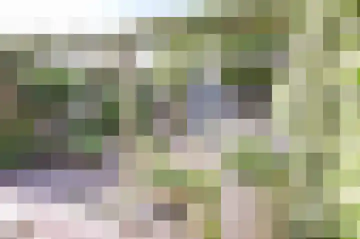 Suze Groenewegstraat 33 Alphen aan den Rijn thumbnail 58