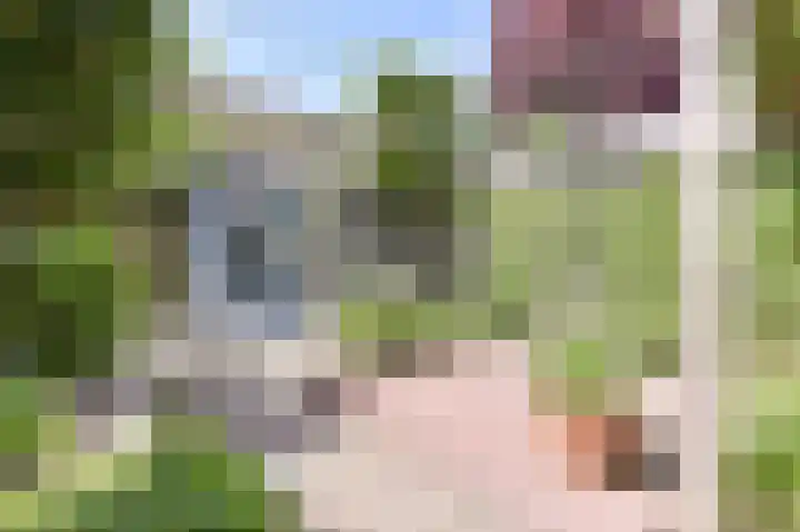 Suze Groenewegstraat 33 Alphen aan den Rijn thumbnail 59
