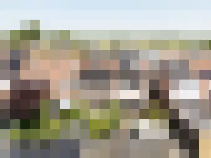 Suze Groenewegstraat 33 Alphen aan den Rijn thumbnail 6