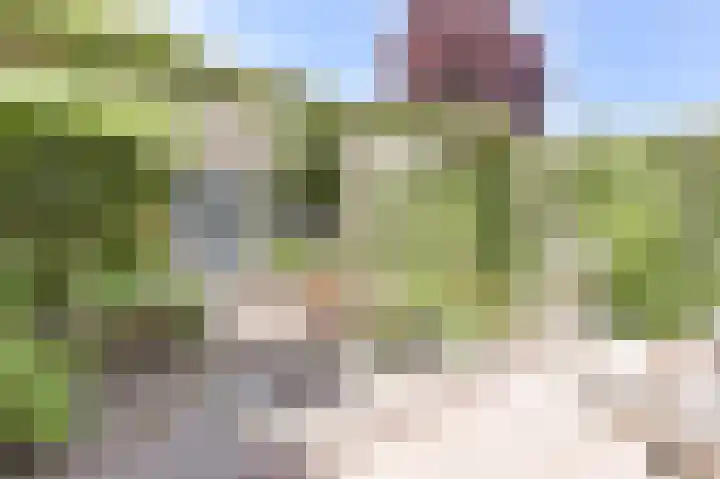 Suze Groenewegstraat 33 Alphen aan den Rijn thumbnail 60