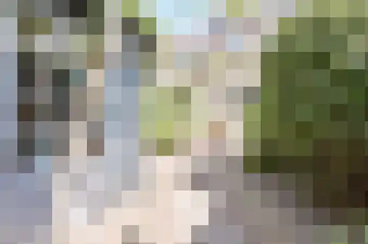 Suze Groenewegstraat 33 Alphen aan den Rijn thumbnail 62