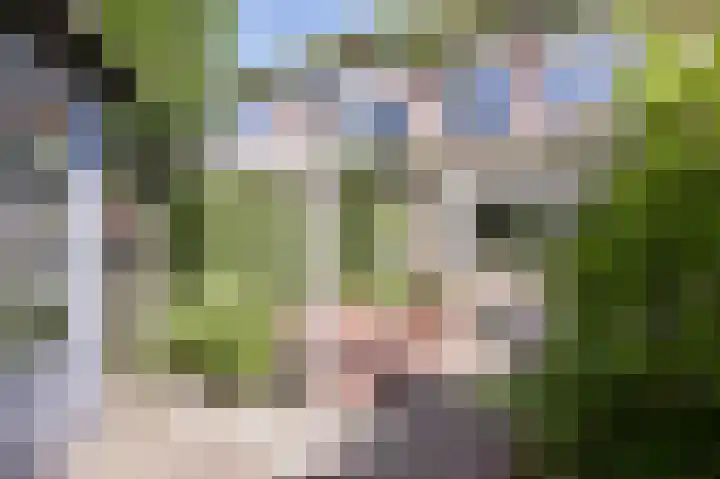 Suze Groenewegstraat 33 Alphen aan den Rijn thumbnail 63