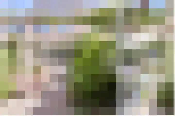 Suze Groenewegstraat 33 Alphen aan den Rijn thumbnail 65