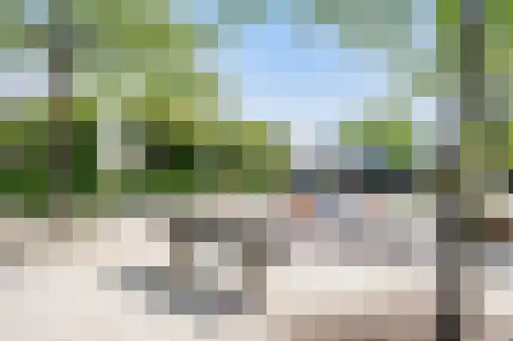Suze Groenewegstraat 33 Alphen aan den Rijn thumbnail 66