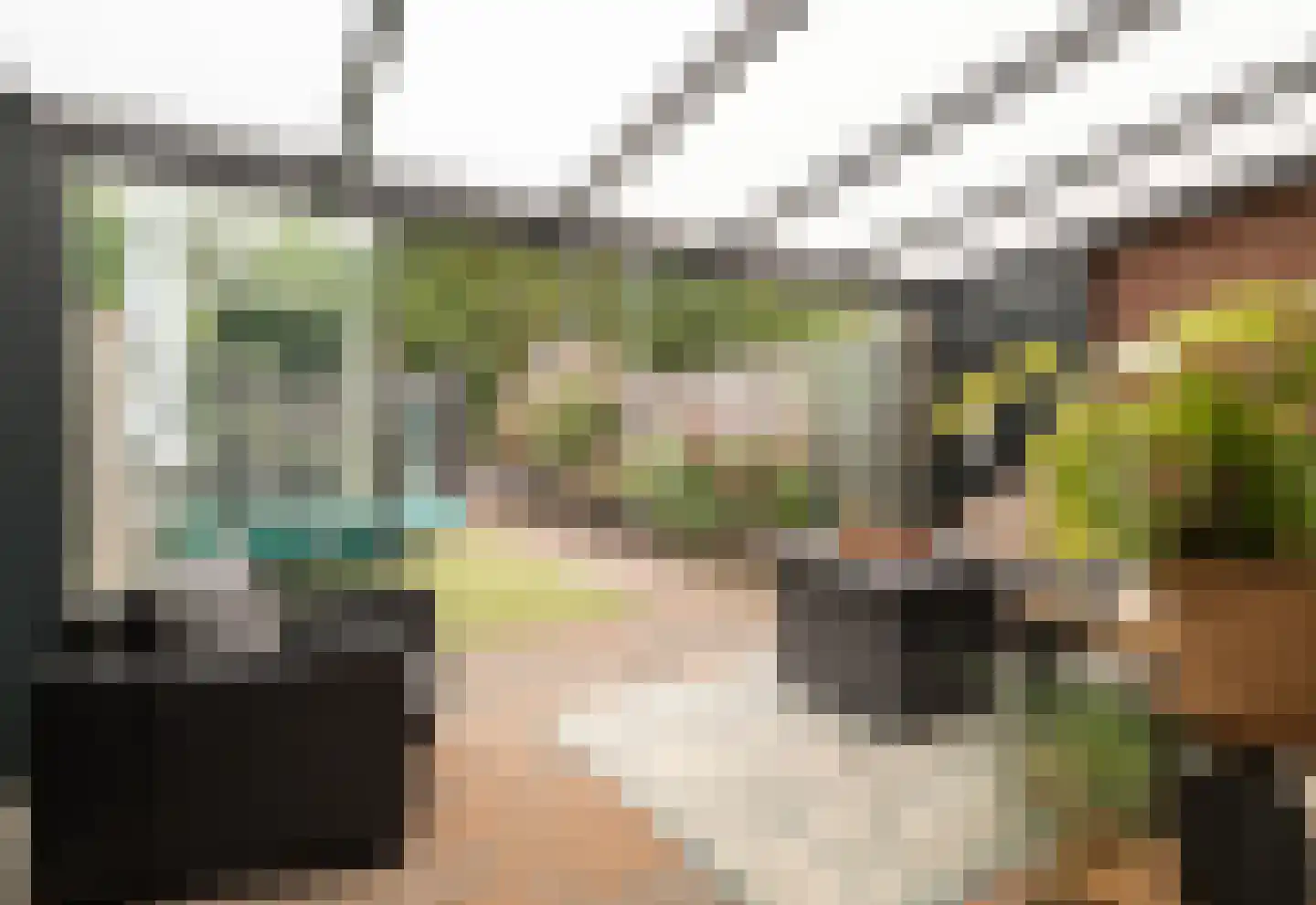 Suze Groenewegstraat 33 Tiel thumbnail 11