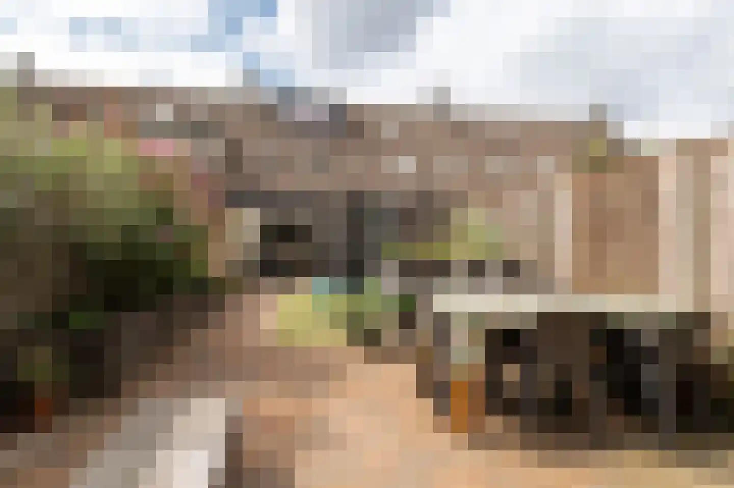 Suze Groenewegstraat 33 Tiel thumbnail 34