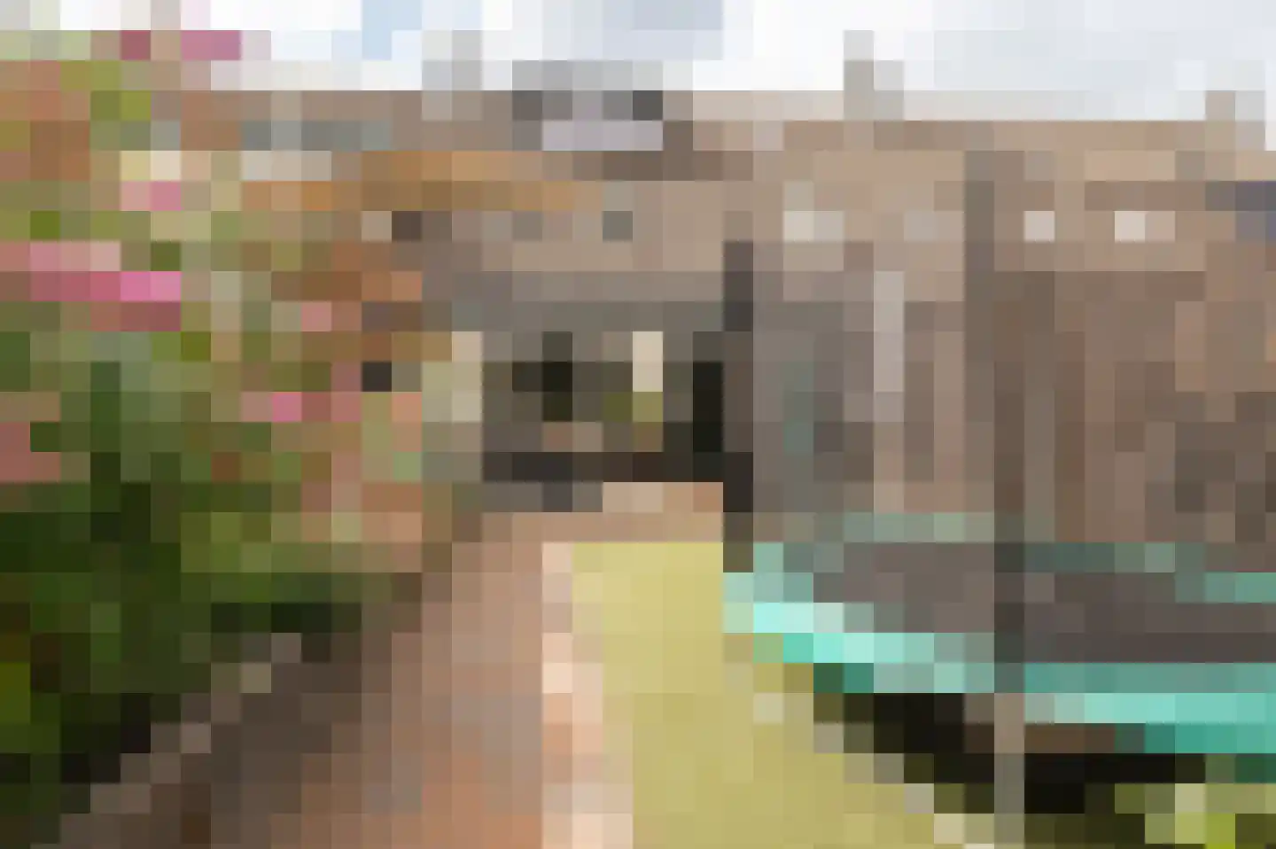 Suze Groenewegstraat 33 Tiel thumbnail 35
