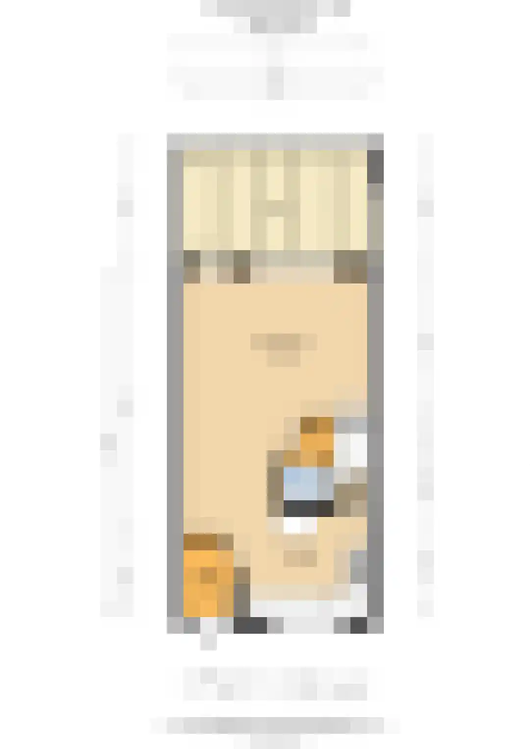 Suze Groenewegstraat 33 Tiel thumbnail 38