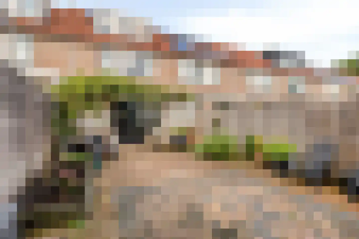Suze Groenewegstraat 38 Alkmaar thumbnail 24
