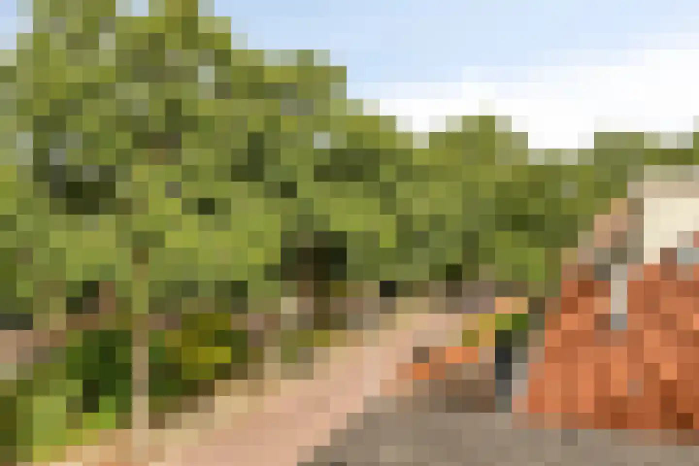 Suze Groenewegstraat 38 Alkmaar thumbnail 28
